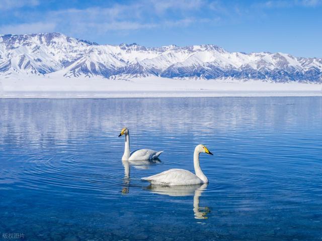 冬季收纳神器：真空压缩袋使用误区